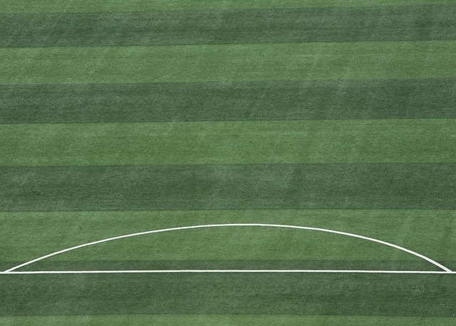 西班牙手球队公布欧洲杯35人名单 巴萨六将入选创历史新高